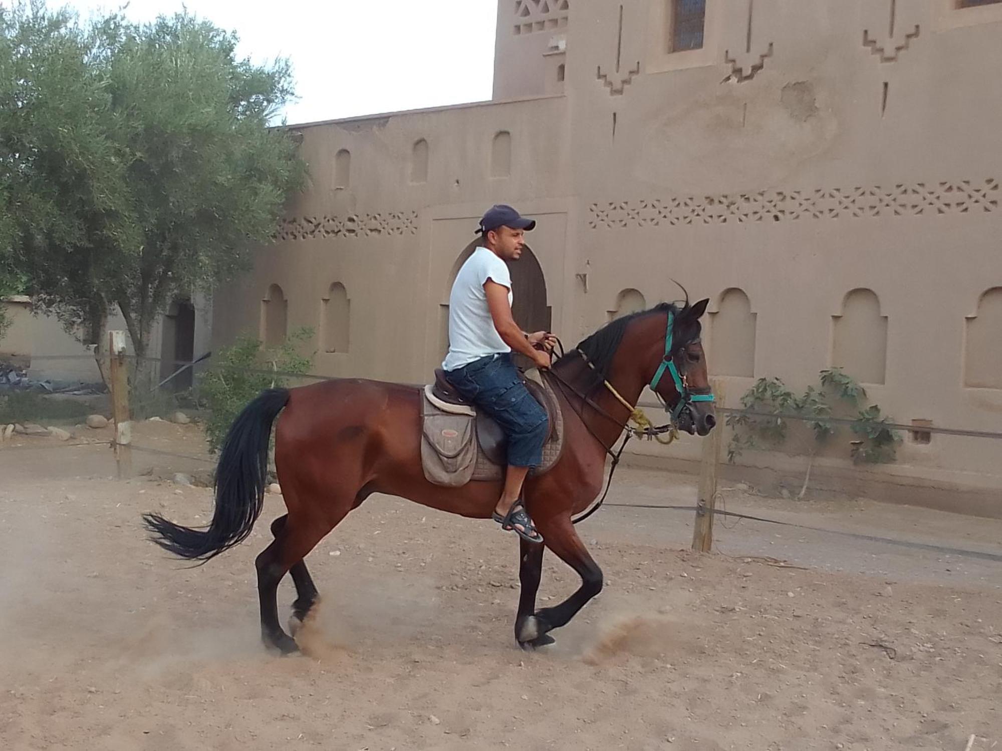Kasbah Dar Dmana Skoura Exterior foto